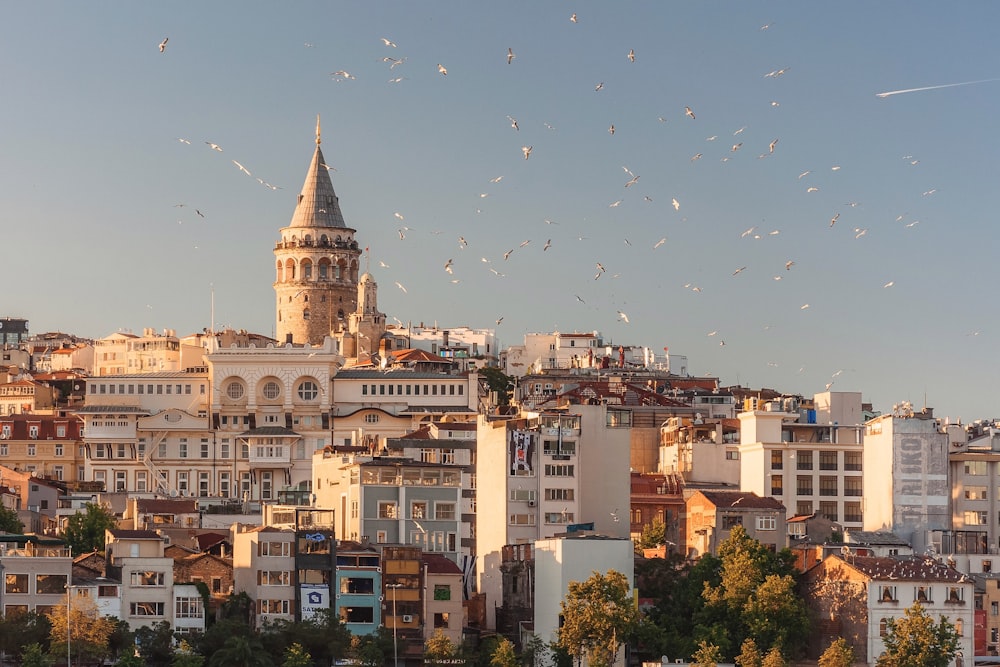 Trabzon - İstanbul Uçuşları